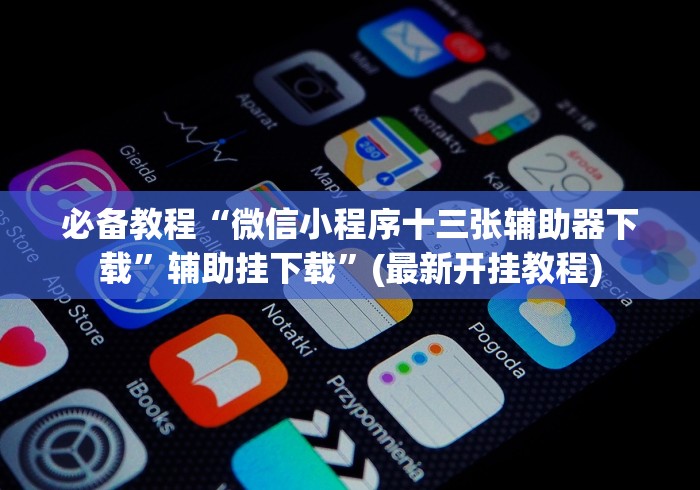 2026最新助赢神器“微乐透视软件”(透视)开挂辅助脚本+详细开挂安装教程
