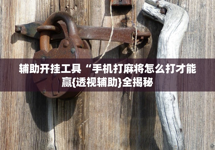 秒懂经验“闲来陕西麻将可以开挂吗”-详细教程