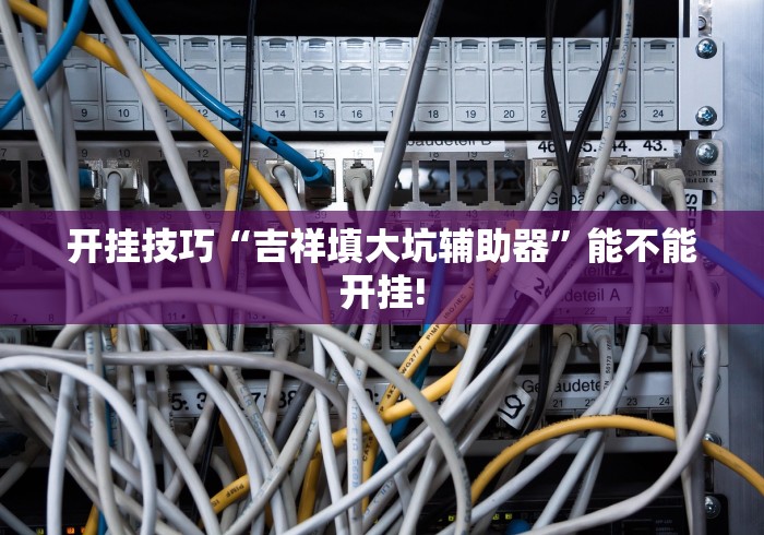 开挂技巧“吉祥填大坑辅助器	”能不能开挂!