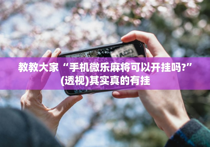 2026最新一代“丽金娱乐有挂吗”(确实有挂)