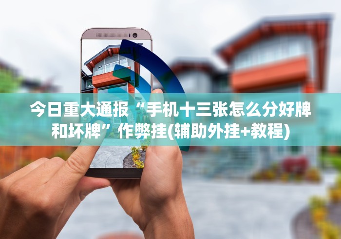 终于懂了“上品十三水为什么总是输”开挂辅助教程