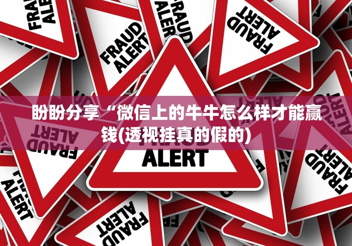 内测功能“微乐麻将开挂版本软件”(详细开挂教程)