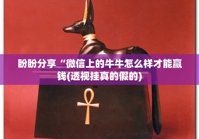 盼盼分享“微信上的牛牛怎么样才能赢钱(透视挂真的假的) 盼盼分享“微信上的牛牛怎么样才能赢钱(透视挂真的假的)