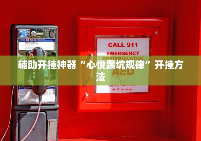 8秒详论“网上十三水怎么拿好牌”详细开挂教程