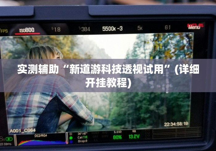 实测辅助“新道游科技透视试用”(详细开挂教程)