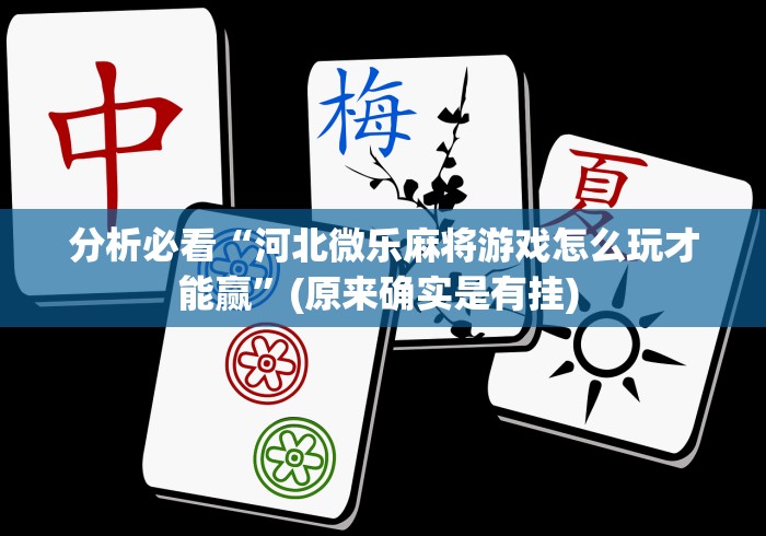 【玩家新攻略】“微乐徐州麻将万能开挂器”(必备工具)辅助教学