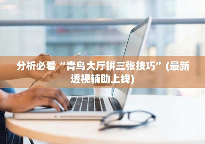辅助挂机软件“微乐跑得快有什么技巧	”掌握辅助功能必胜规则