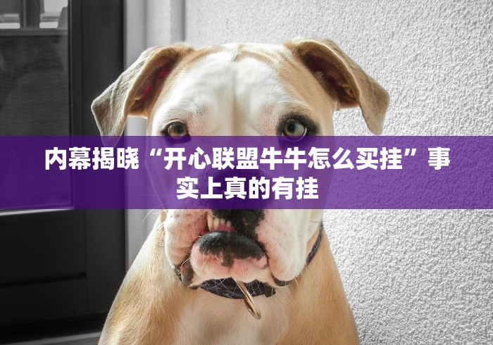 内幕揭晓“开心联盟牛牛怎么买挂”事实上真的有挂