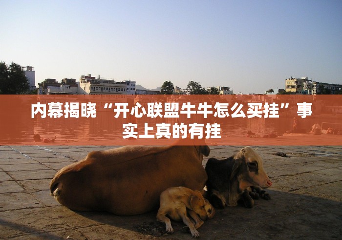 内幕揭晓“开心联盟牛牛怎么买挂”事实上真的有挂