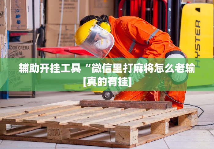 软件分享:星悦麻将技巧”-必赢神器安装