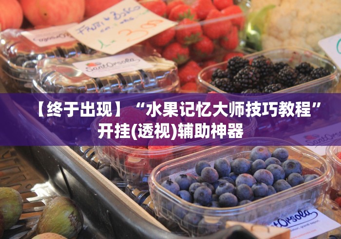 【终于出现】“水果记忆大师技巧教程”开挂(透视)辅助神器