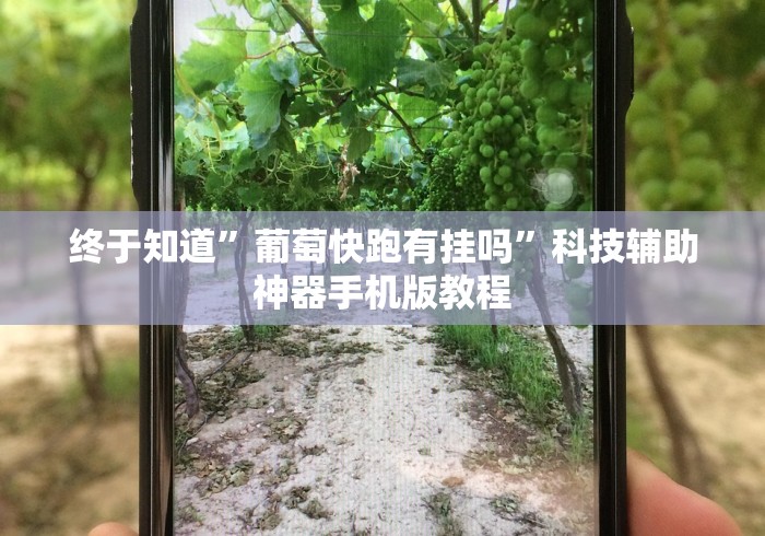分析必看“新道游开挂免费软件”(原来确实是有挂)