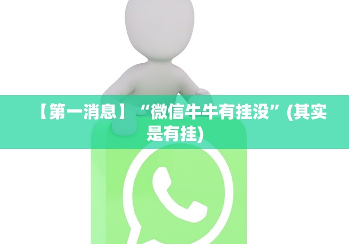 一分钟介绍应用“越乡游十三水开挂必赢神器下载”开挂安装教程