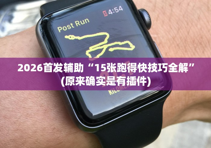 2026首发辅助“15张跑得快技巧全解”(原来确实是有插件)