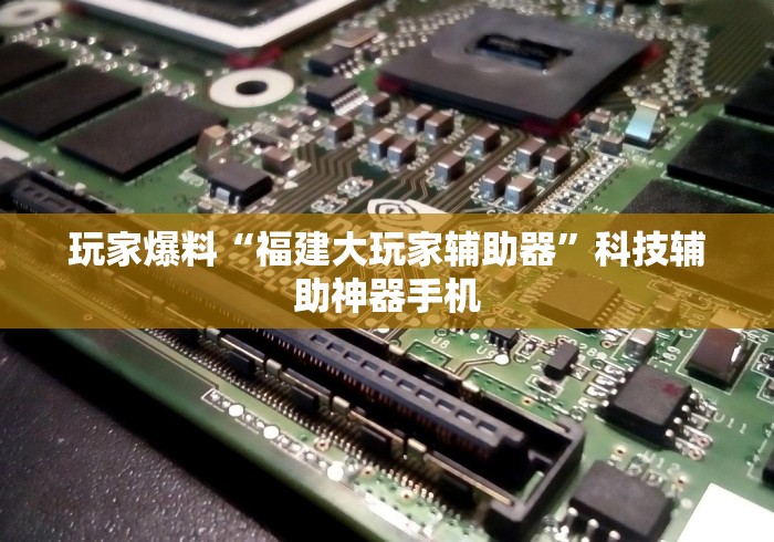 玩家爆料“福建大玩家辅助器”科技辅助神器手机