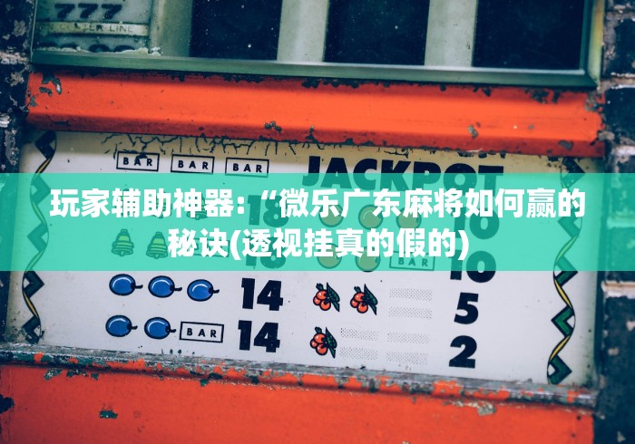 盘点智星德州菠萝辅助工具”辅助神器插件下载