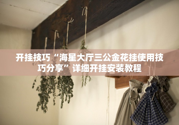 [8秒详论]“牵手跑胡子透视辅助软件”详细分享装挂