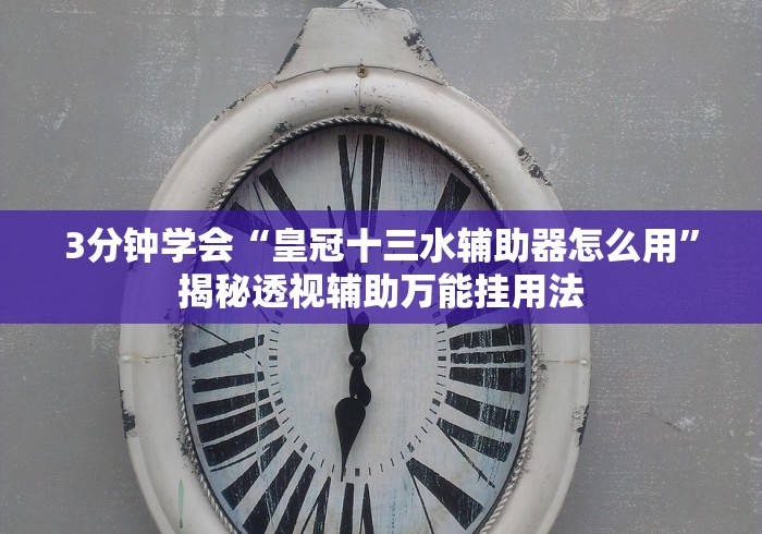 3分钟学会“皇冠十三水辅助器怎么用”揭秘透视辅助万能挂用法