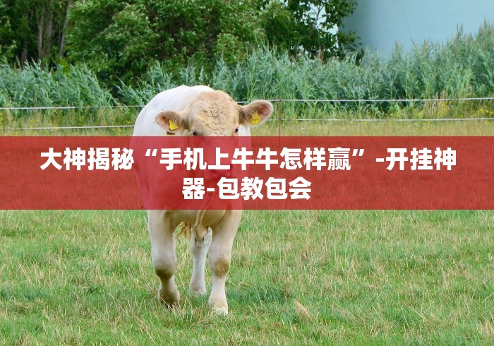 大神揭秘“手机上牛牛怎样赢”-开挂神器-包教包会