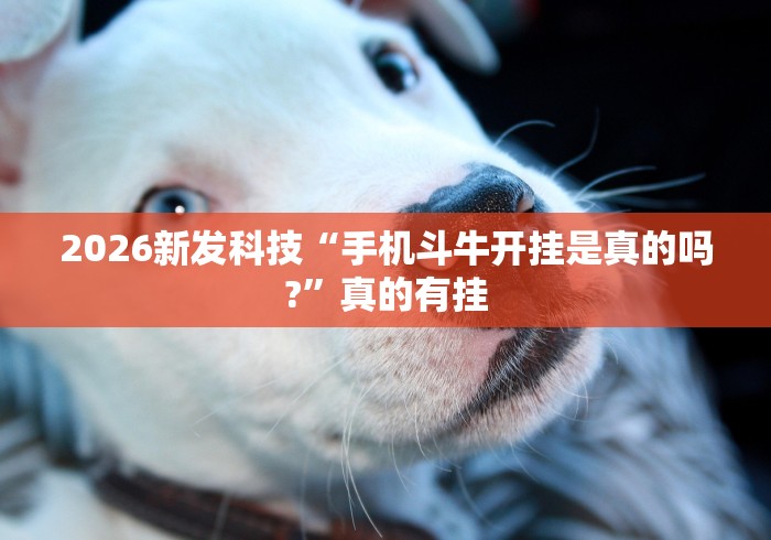 大家普及一下“微乐麻将自建房有挂吗”(透视)其实确实有挂
