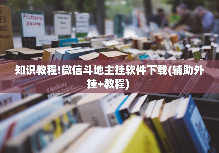 玩家最新攻略“闲来跑胡子可以开挂吗”开挂辅助脚本+详细