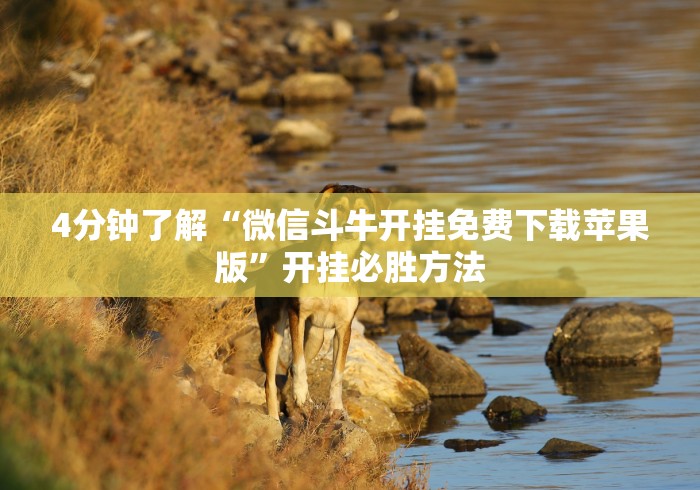 2026最新助赢神器“微乐江苏麻将小程序怎么开挂”(必胜开挂神器)