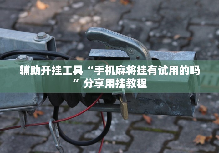 3分钟学会“微信牵手跑得快怎么拿好牌”确实可以使用辅助