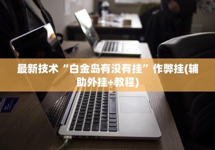 最新技术“白金岛有没有挂”作弊挂(辅助外挂+教程)