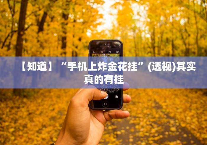 【知道】“手机上炸金花挂”(透视)其实真的有挂