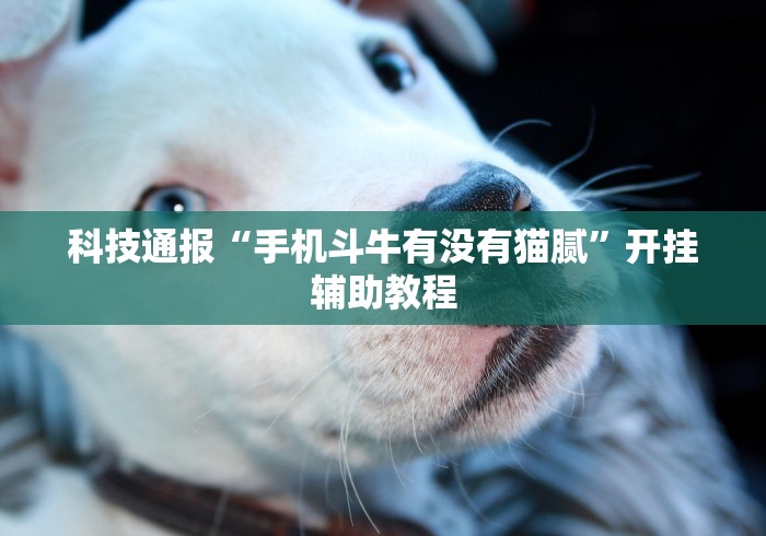 科技通报“手机斗牛有没有猫腻	”开挂辅助教程