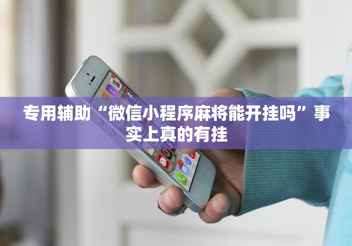 五分钟了解福建大玩家可以开挂吗”详细开挂教程