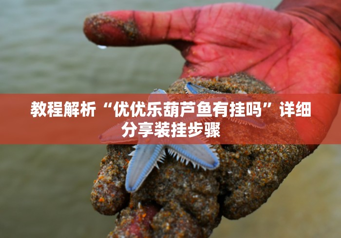 教程解析“优优乐葫芦鱼有挂吗	”详细分享装挂步骤