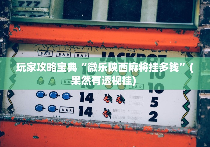 全网解答|“微乐卡五星为什么老是输”详细分享装挂步骤教程