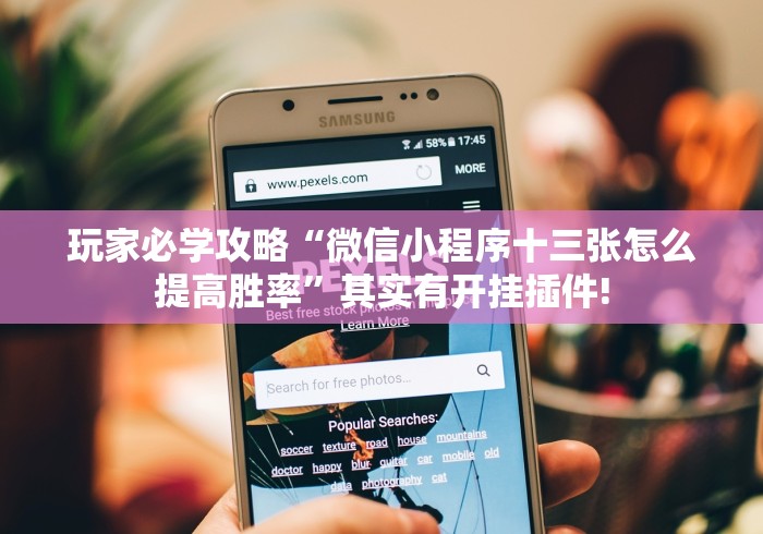 玩家必学攻略“微信小程序十三张怎么提高胜率”其实有开挂插件!