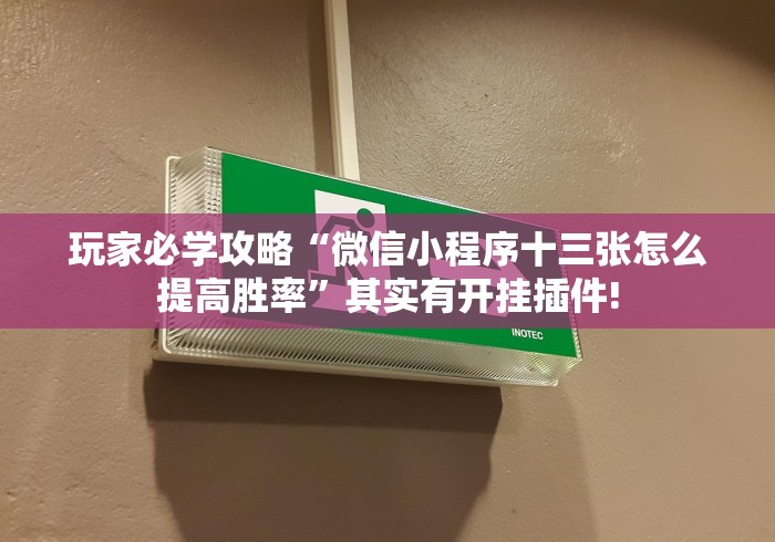 玩家必学攻略“微信小程序十三张怎么提高胜率”其实有开挂插件!