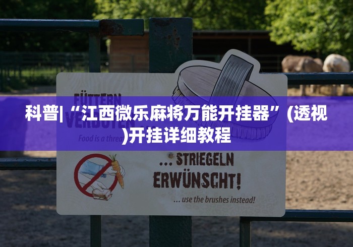 科普|“江西微乐麻将万能开挂器”(透视)开挂详细教程
