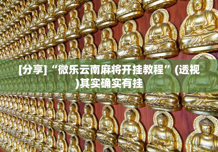 【第一攻略】“越乡义乌麻将有挂没	”通用版下载教程！