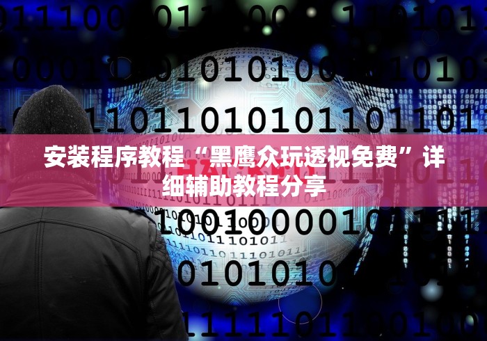 安装程序教程“黑鹰众玩透视免费”详细辅助教程分享