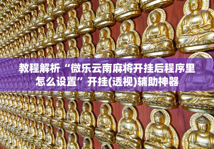 教程解析“微乐云南麻将开挂后程序里怎么设置”开挂(透视)辅助神器