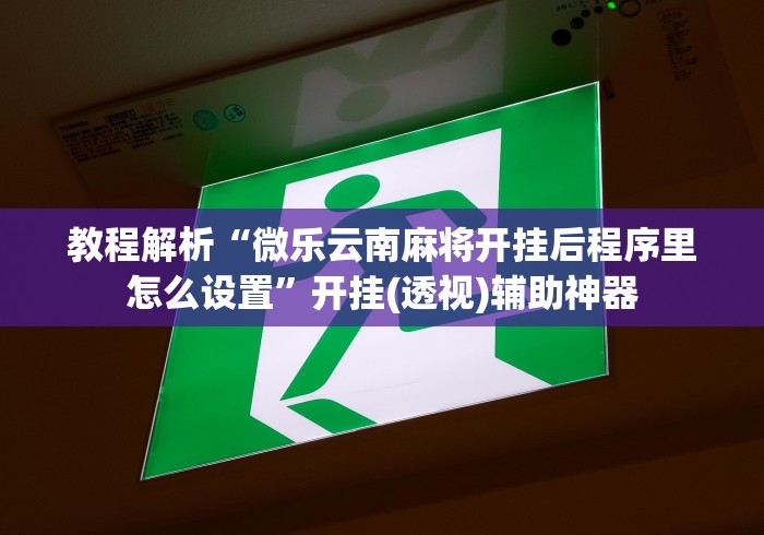 教程解析“微乐云南麻将开挂后程序里怎么设置	”开挂(透视)辅助神器