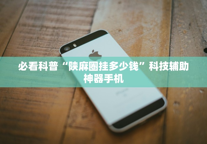 必看科普“陕麻圈挂多少钱”科技辅助神器手机