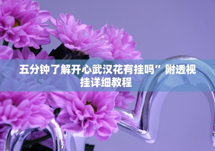 五分钟了解开心武汉花有挂吗”附透视挂详细教程 
