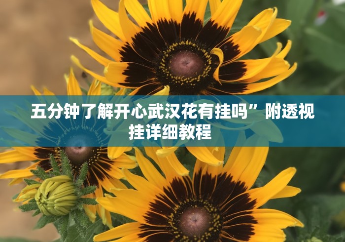 五分钟了解开心武汉花有挂吗	”附透视挂详细教程 