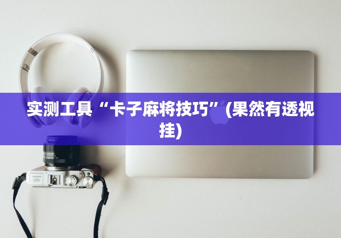 实测工具“卡子麻将技巧”(果然有透视挂)