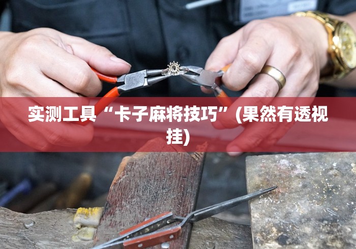 【玩家必备技术】“蜀友汇可以开挂吗”揭秘透视辅助万能挂 