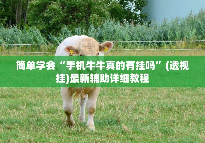 玩家辅助神器:“情怀麻将开挂必赢神器”(透视)开挂辅助脚本+详细开挂安装教程