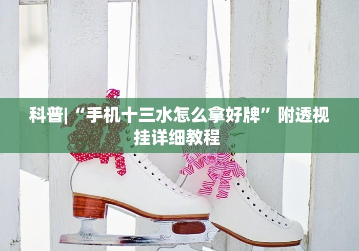 科普|“手机十三水怎么拿好牌”附透视挂详细教程 