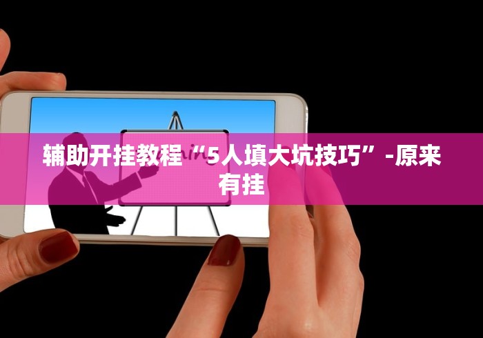 辅助开挂教程“5人填大坑技巧”-原来有挂
