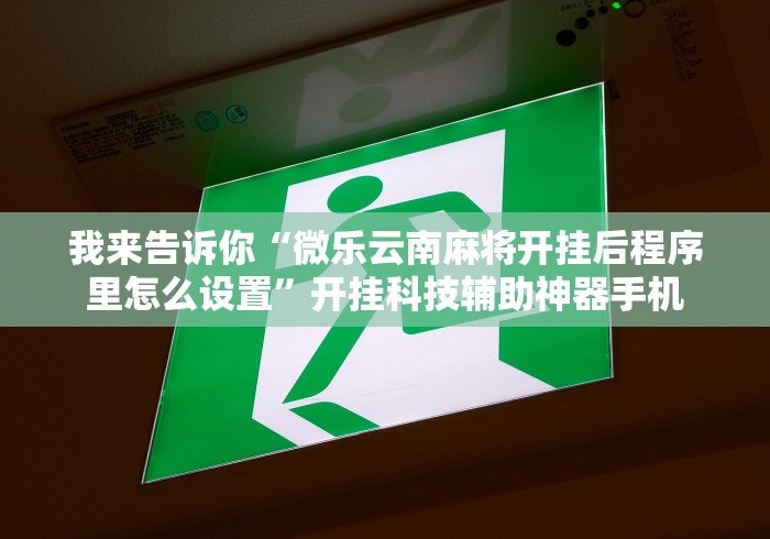 我来告诉你“微乐云南麻将开挂后程序里怎么设置”开挂科技辅助神器手机