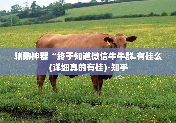 我来教教大家越乡游义乌麻将怎么开挂”原来可以开挂